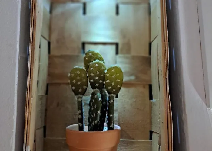 דירה Galaxy רייקה